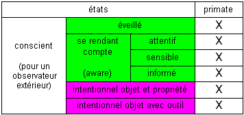 conscient 05.gif (3179 octets)